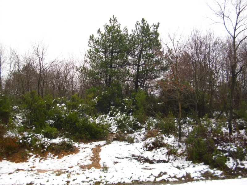 Resim 048.jpg