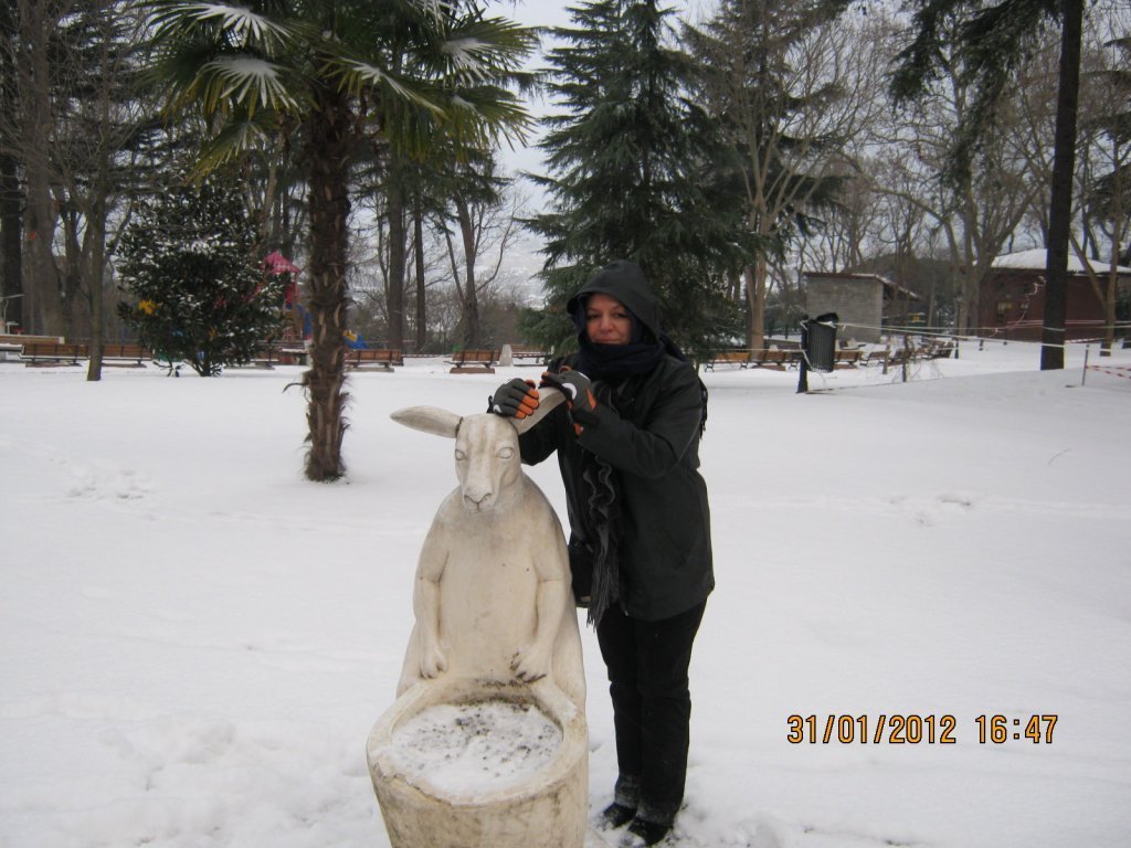 Resim 062.jpg