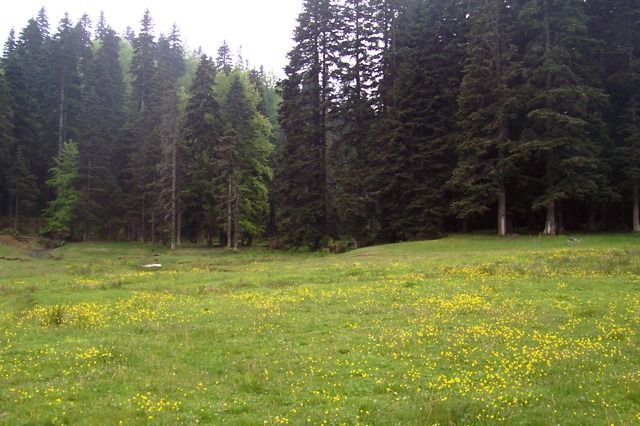 Resim 066.jpg