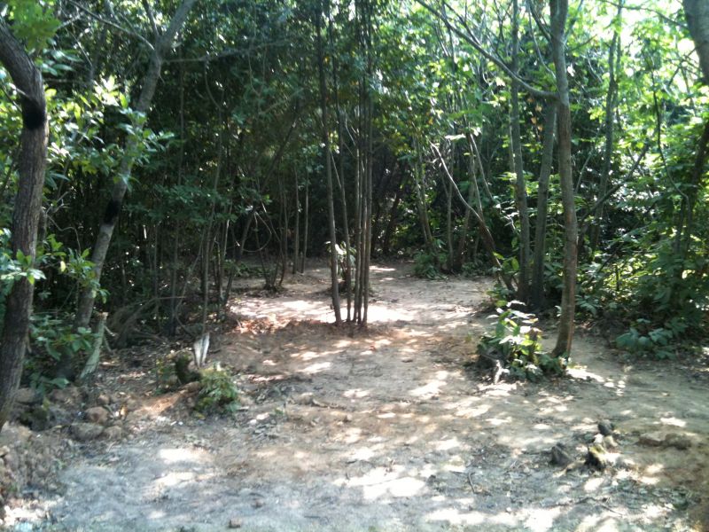 Resim 068.jpg