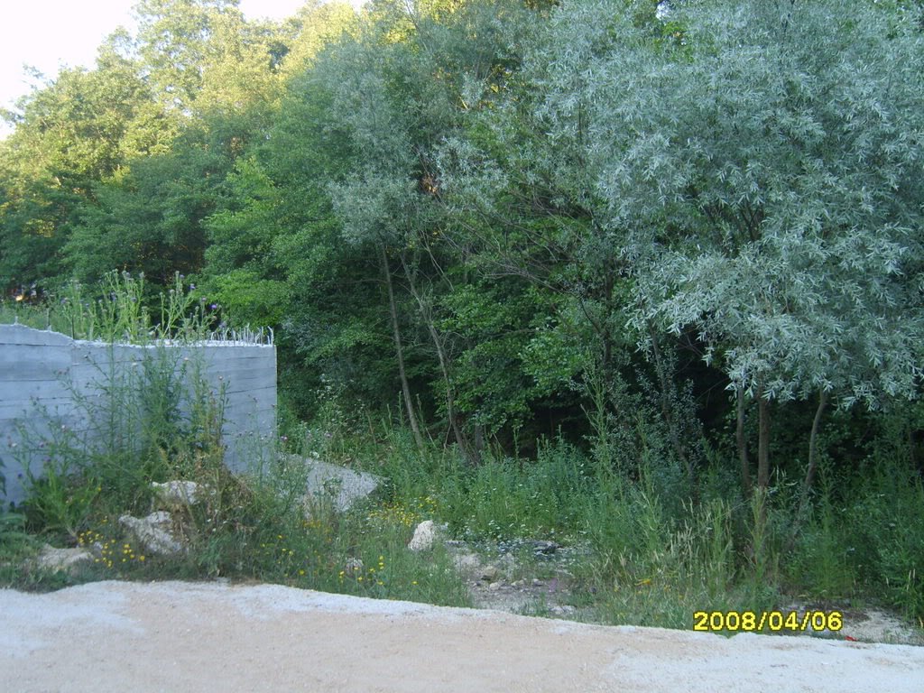 Resim007-1.jpg
