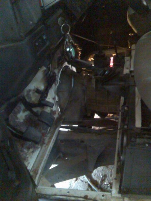 Resize of puma (2).jpg