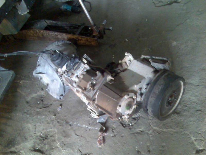 Resize of puma (5).jpg