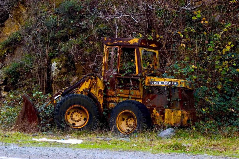 revenge of nature2.jpg