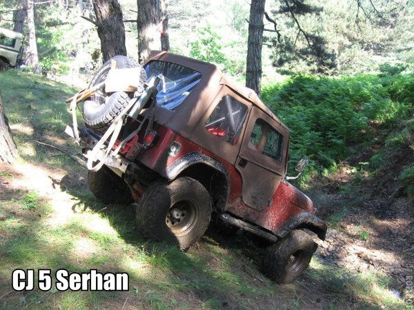 roflbot-e62N.jpg