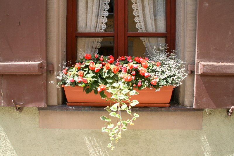 romantik yol 2012 canon 257.JPG
