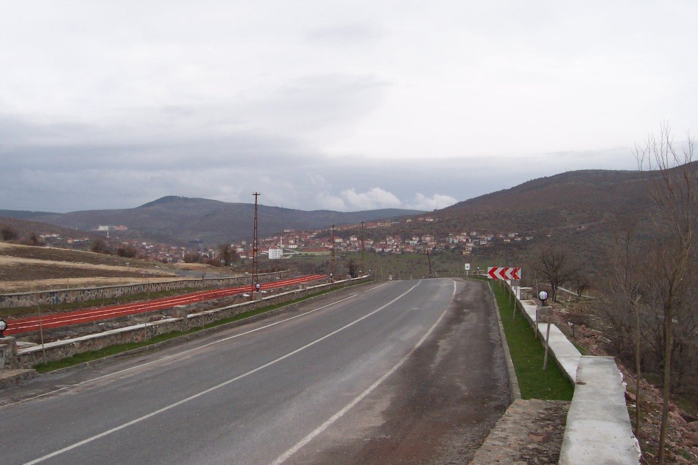rsz_1390.jpg