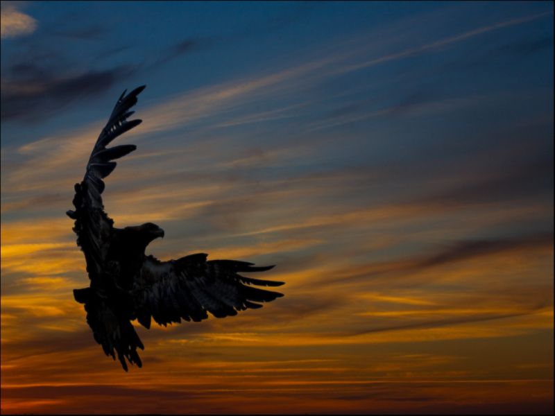 S 00008 A Time is gone 1024x768.jpg