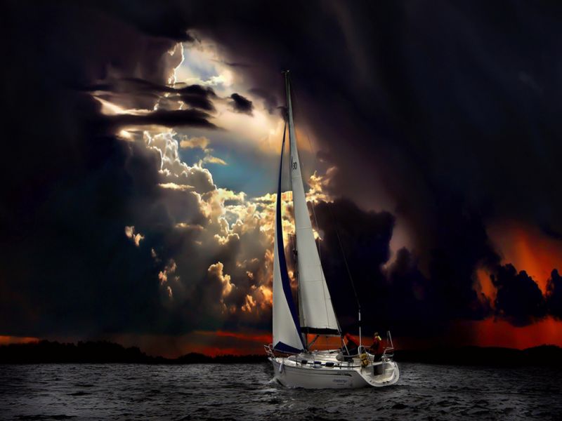 S 00020 Y FREE TO GO 1024x768.jpg