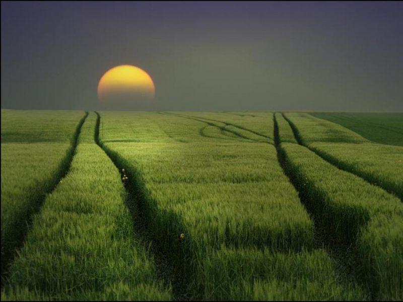 S 00022 Sunset on the fields 1024x768.jpg