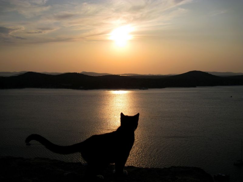 S 00027 Watching The Sunset 1024x768.jpg