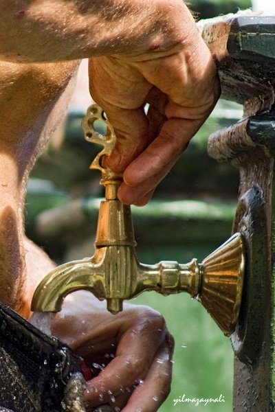 S?cak ( c ) Y?lmaz AYNALI.jpg