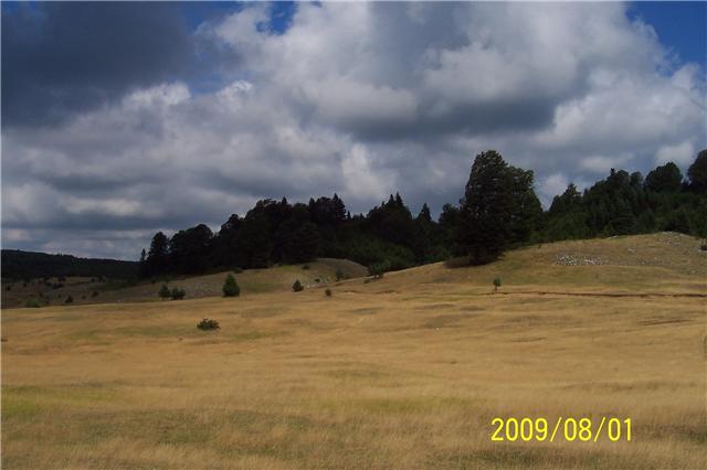 s11.jpg