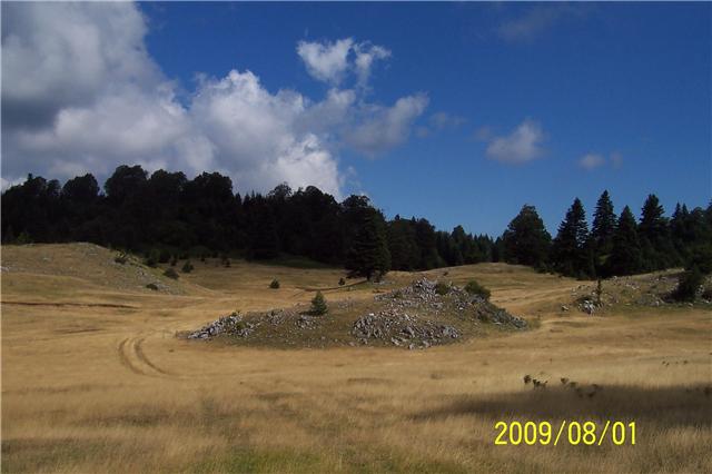 s14.jpg