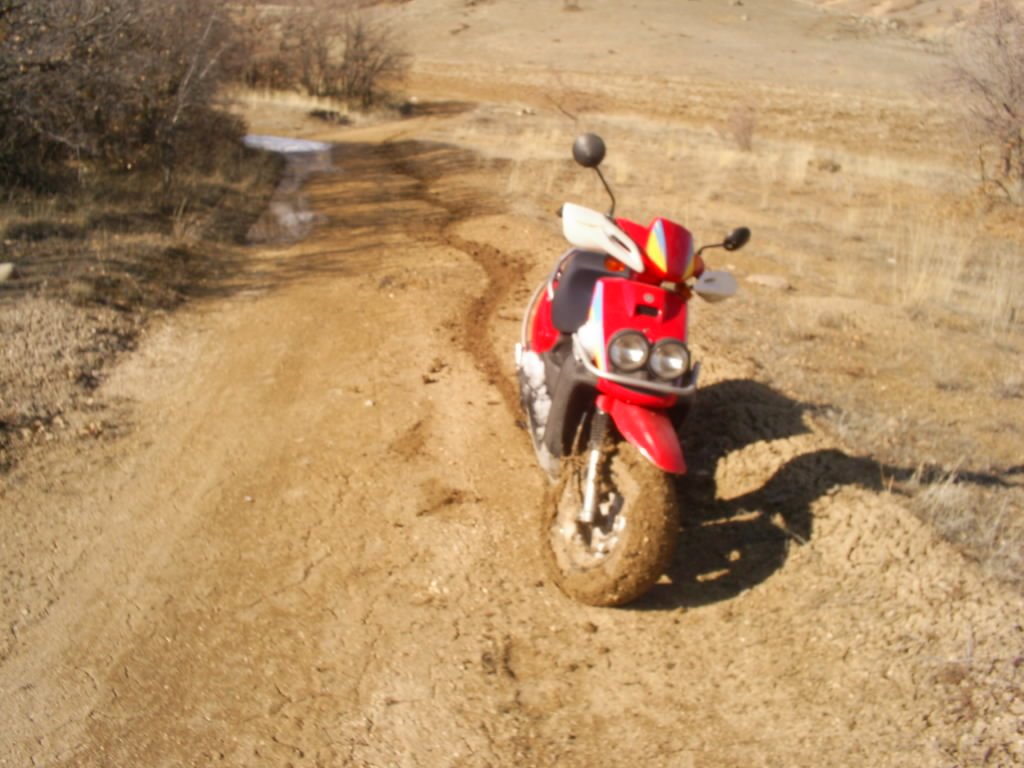 S4020428.JPG