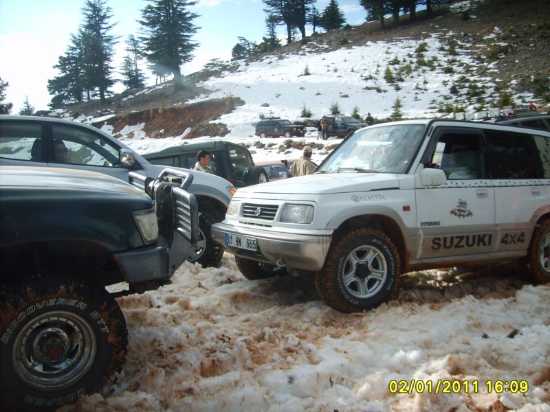 S5000757.jpg