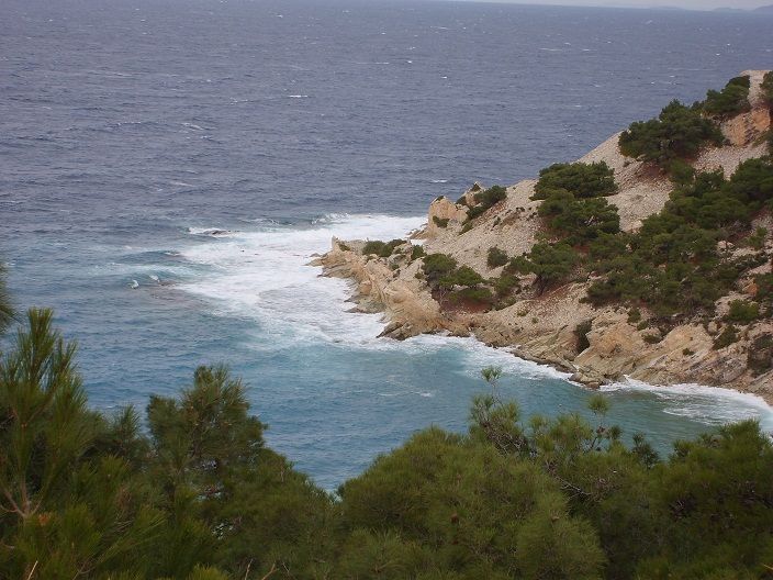 S6001652 - Kopya.jpg