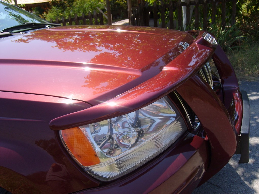 S6004141.JPG