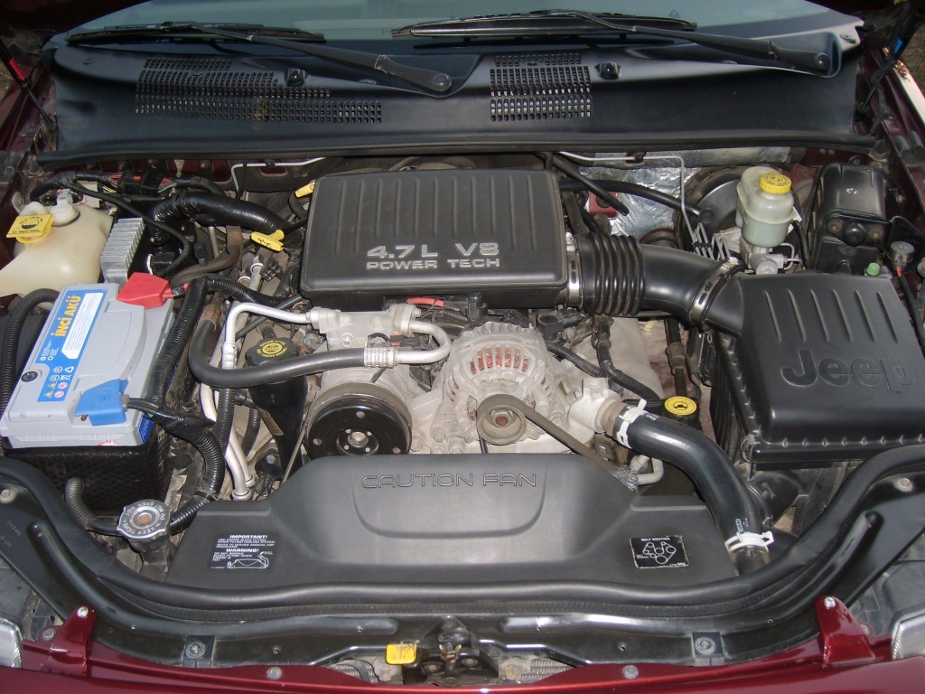 S6004157.JPG