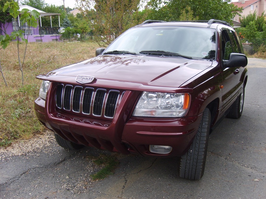 S6005237.JPG