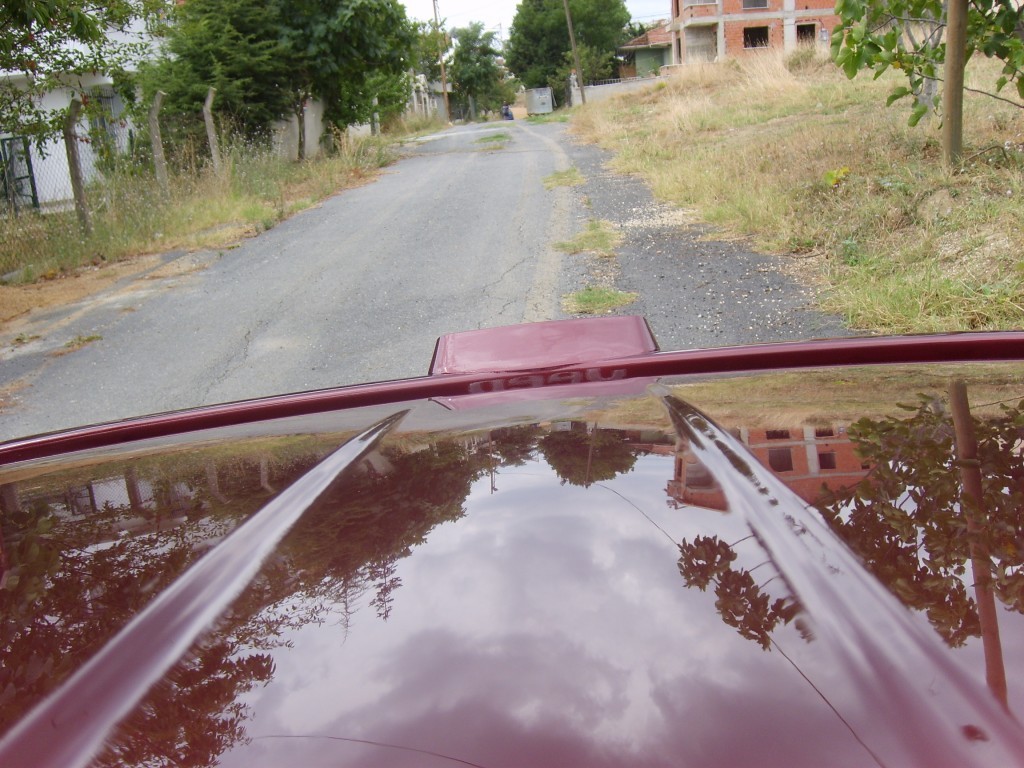 S6005253.JPG