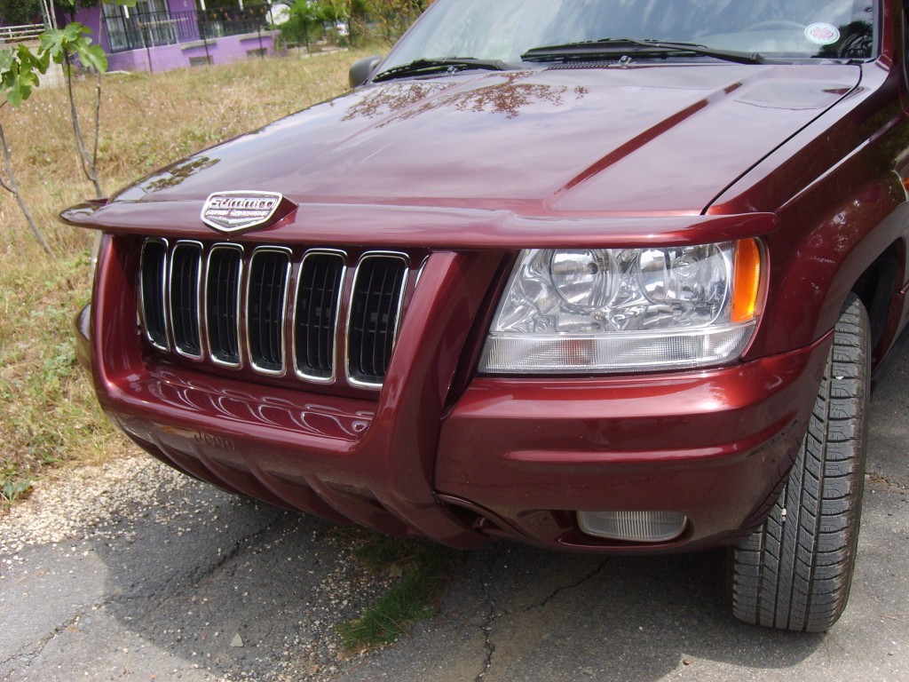 S6005266.JPG