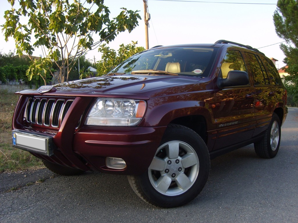 S6005290.JPG