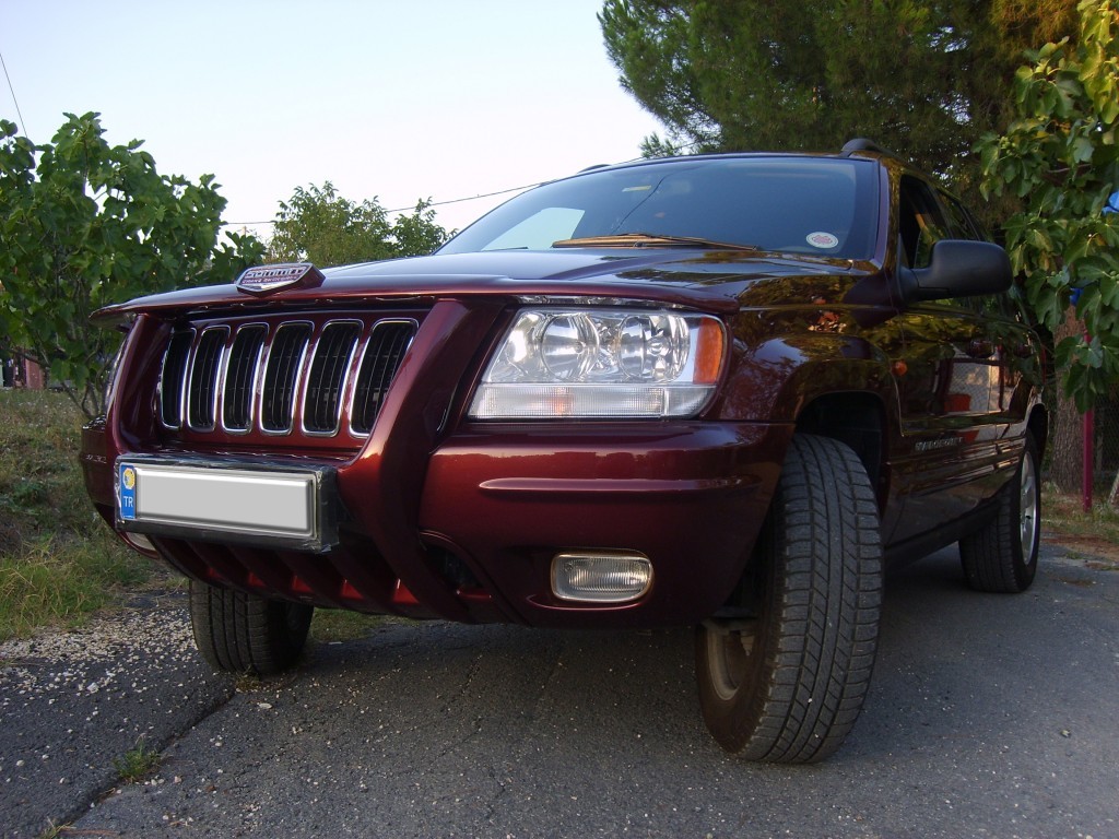 S6005294.JPG