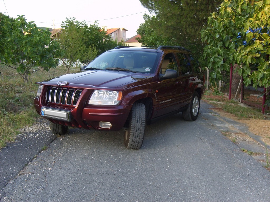 S6005298.JPG