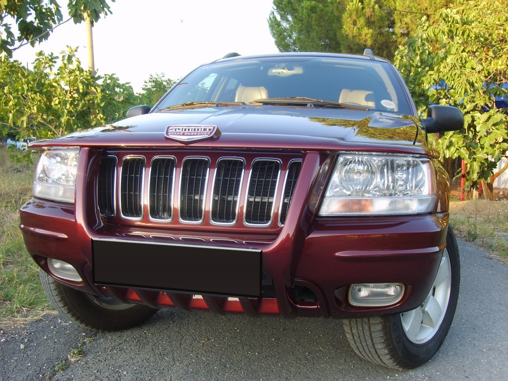 S6005304.JPG