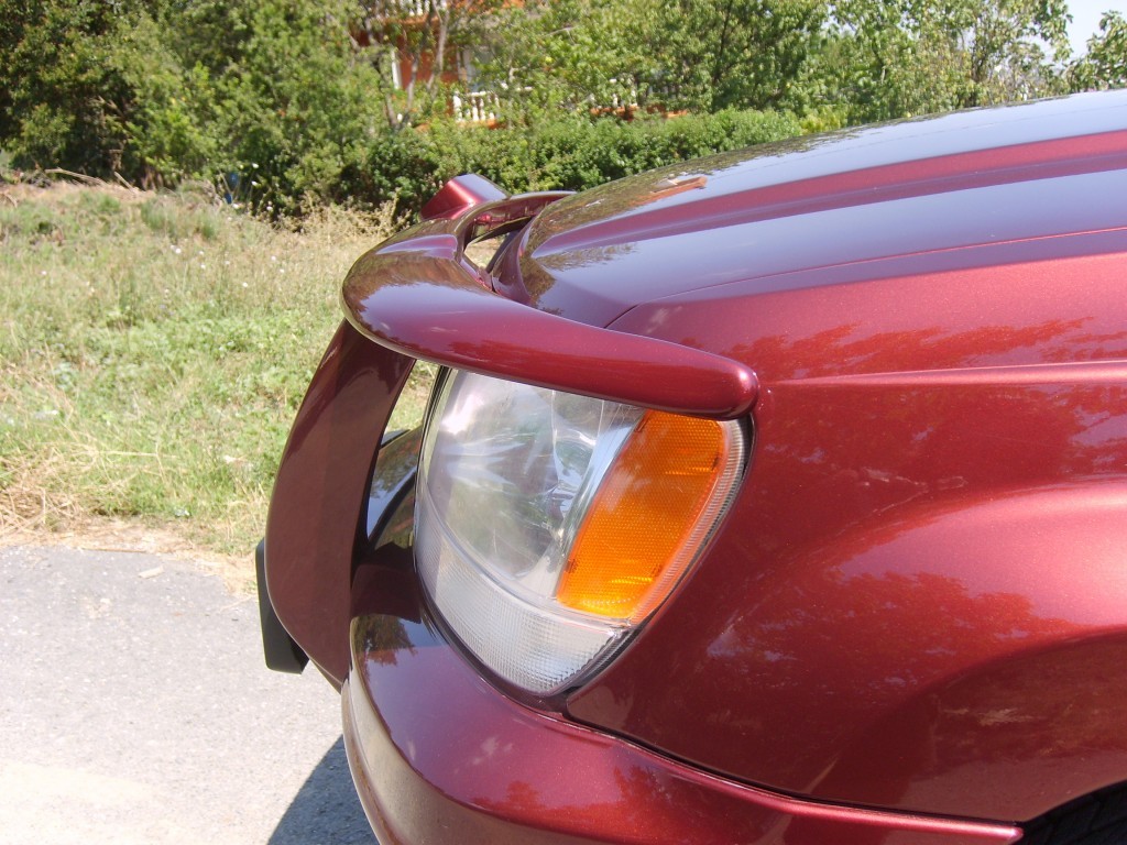 S6005432.JPG