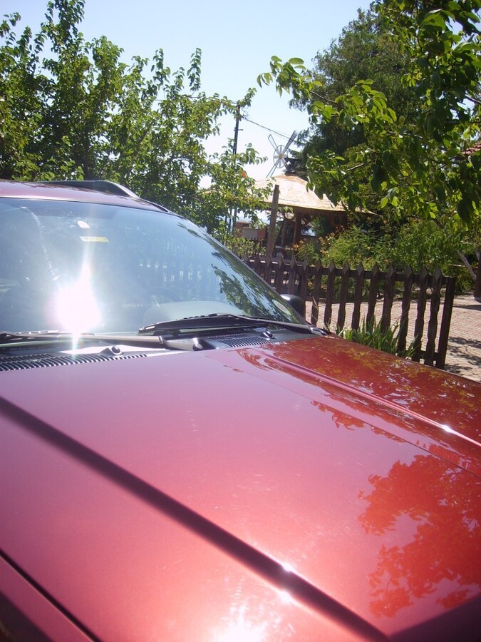 S6005462.JPG