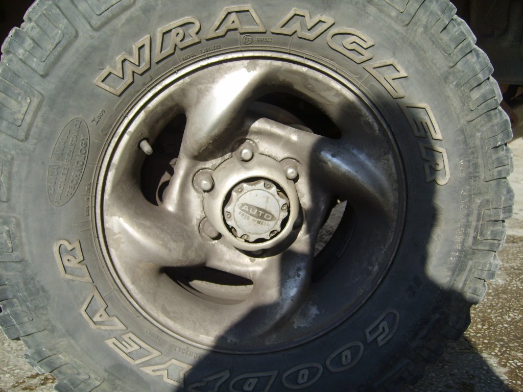 S6008012.JPG