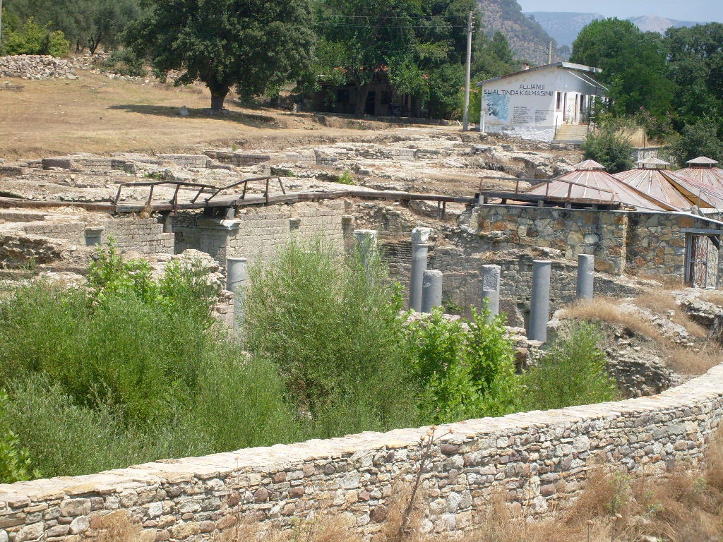 S6300549.JPG