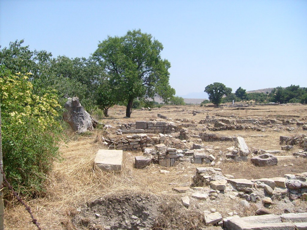 S6300554.JPG