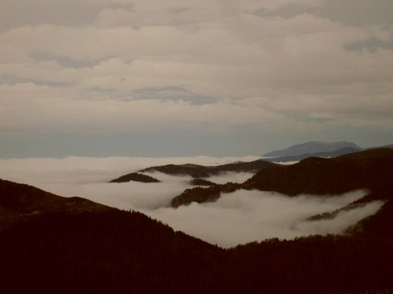 S6300800.jpg
