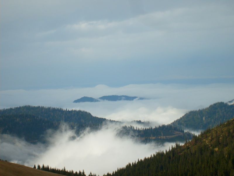 S6300815.jpg