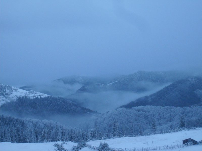 S6300841.jpg