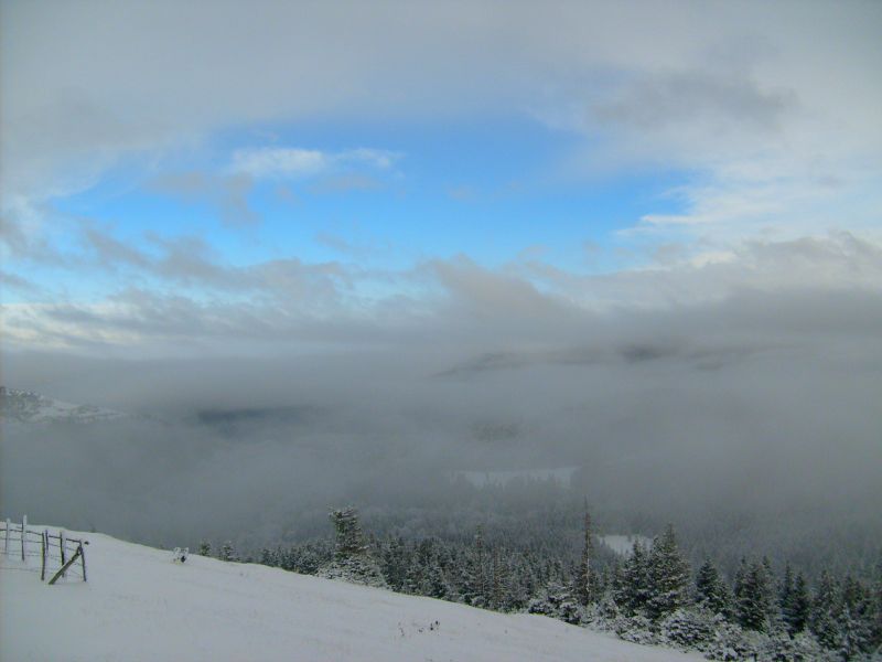 S6300909.jpg