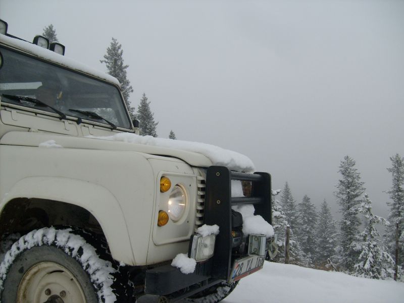 S6300920.jpg