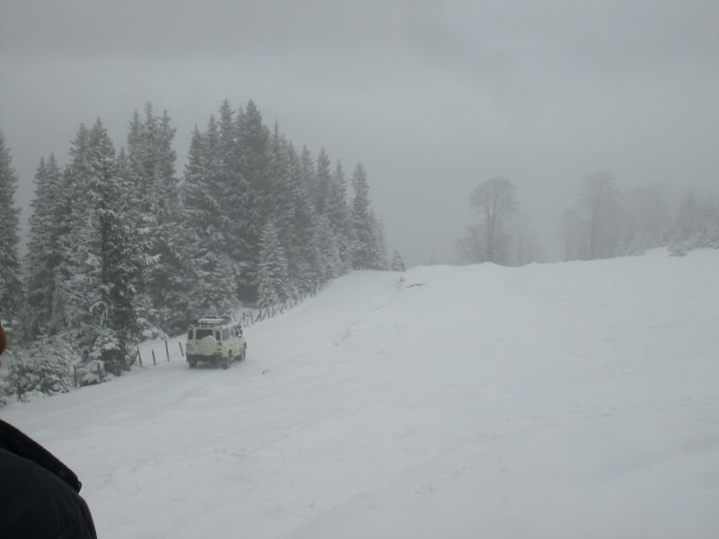 S6300922.jpg