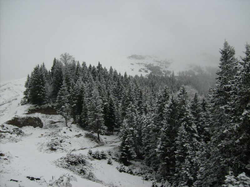 S6300944.jpg