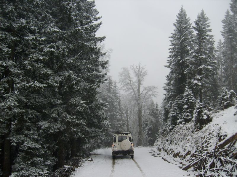 S6300946.jpg