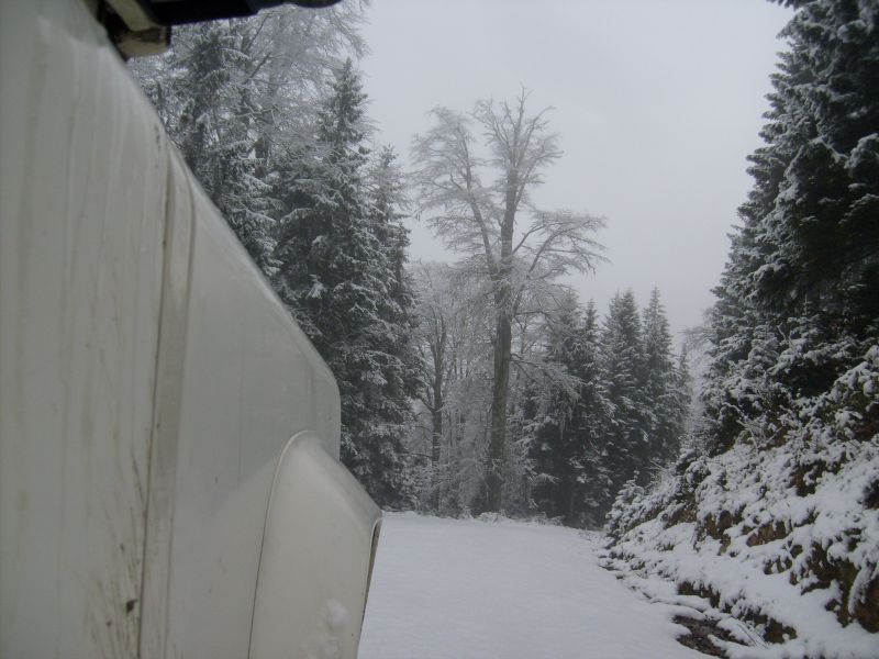 S6300947.jpg