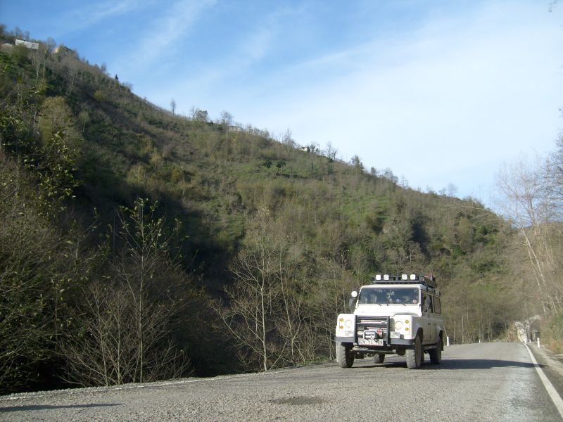 S6300990.jpg
