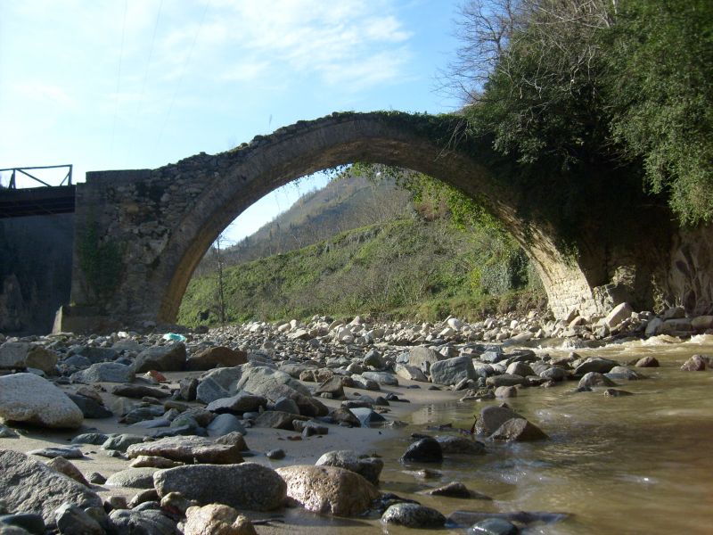 S6300993.jpg