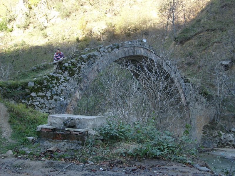 S6301019.jpg