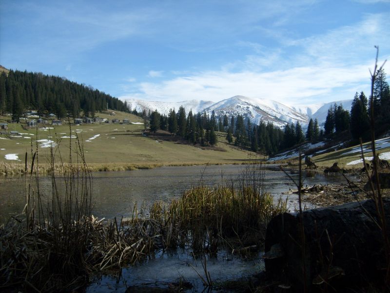 S6301048.jpg