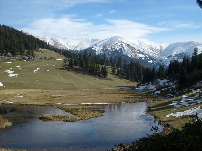 S6301085.jpg