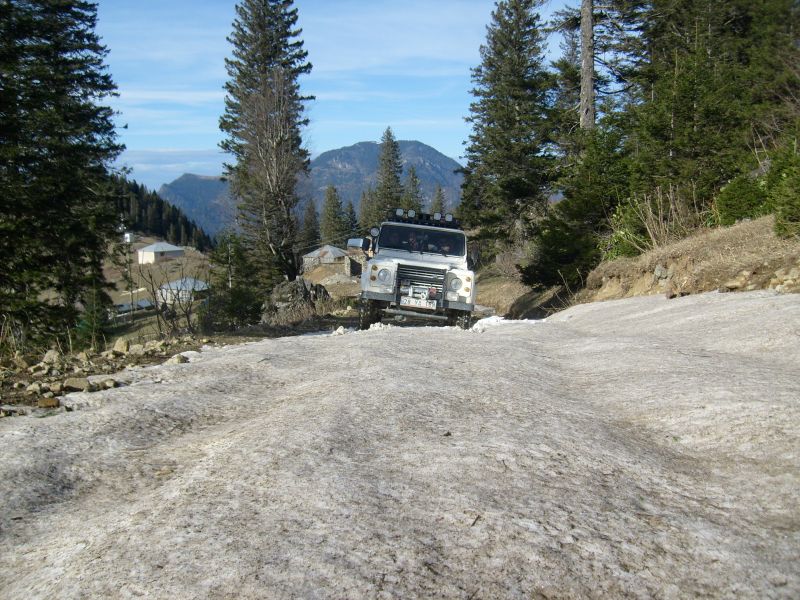 S6301110.jpg